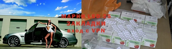 прущие грибы Аркадак
