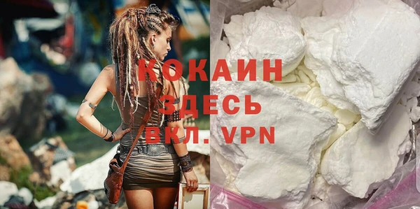 прущие грибы Аркадак