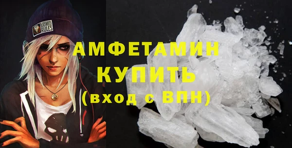 прущие грибы Аркадак